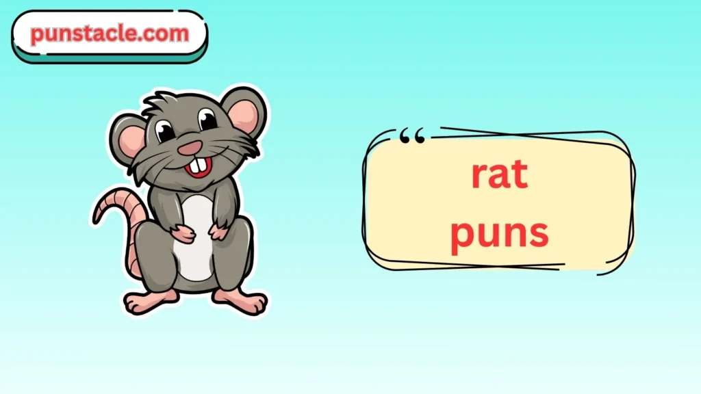 Rat Puns & Captions