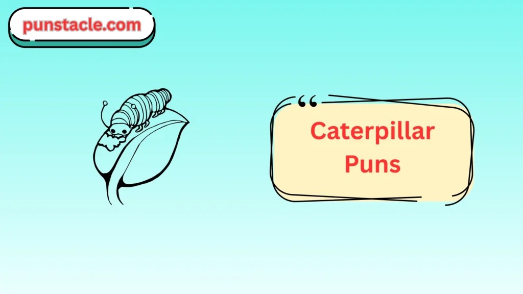 Caterpillar Puns for Fast Laughs