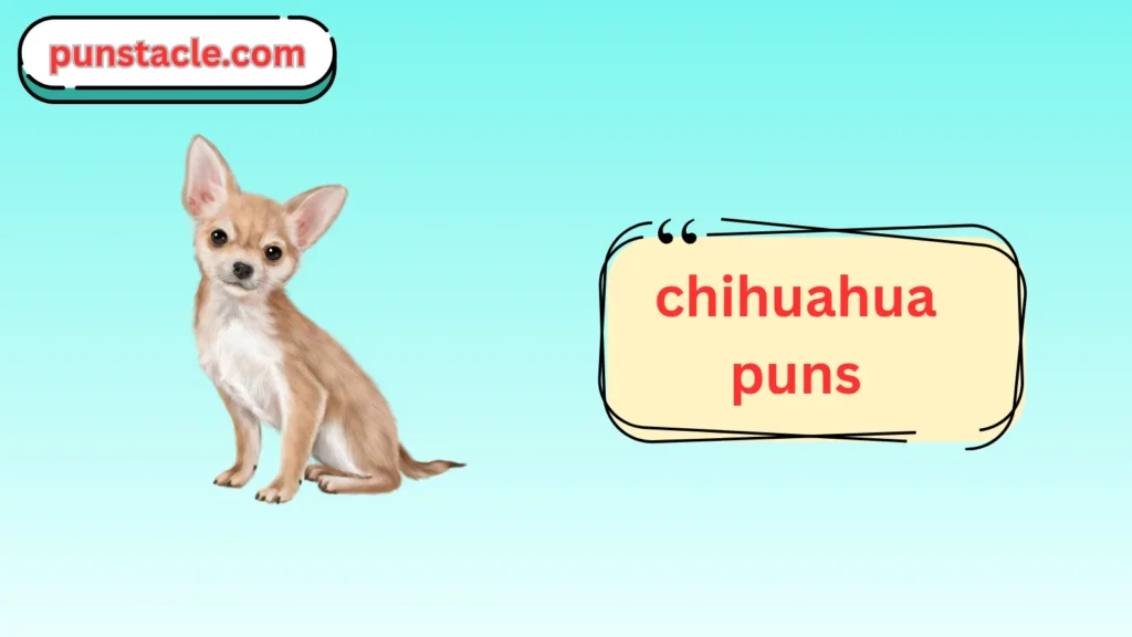 Chihuahua Puns