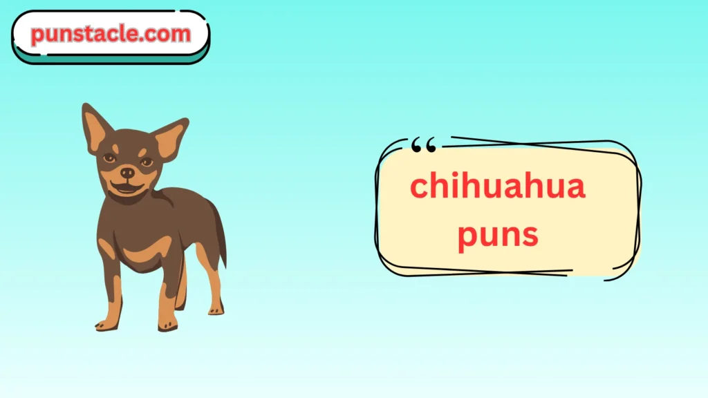 The Best Chihuahua Jokes & Wordplays Ever