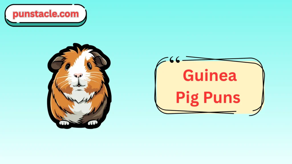 Guinea pig puns