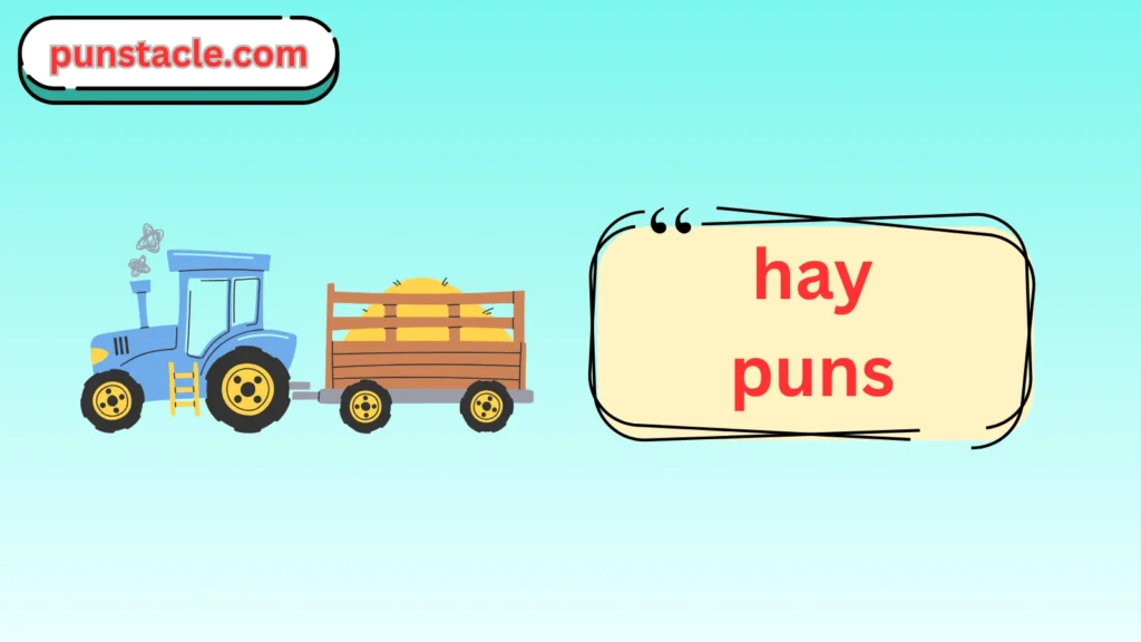 Hay Puns & Captions