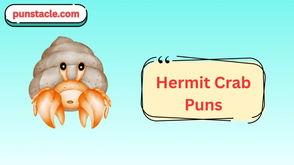 Hermit Crab Puns