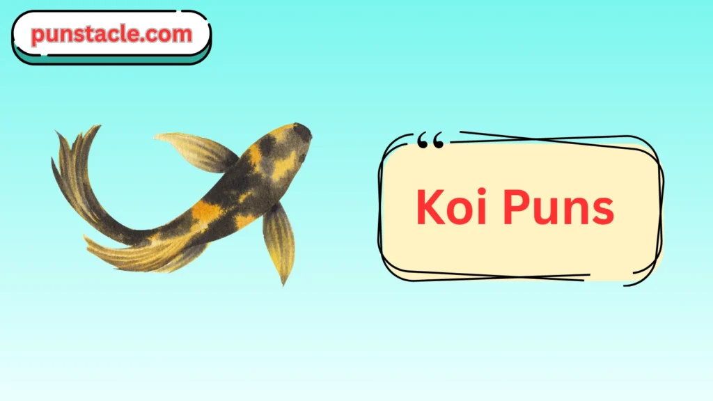 Koi Jokes & Wordplays Ever