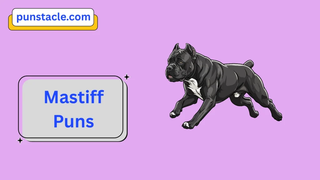 Mastiff Jokes & Wordplays Ever