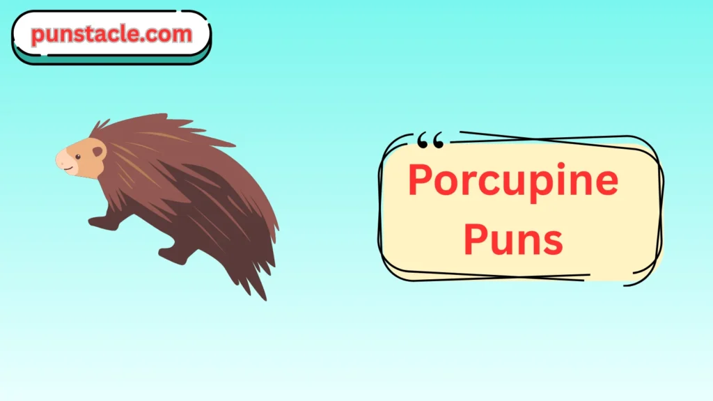 Porcupine Jokes & Wordplays Ever
