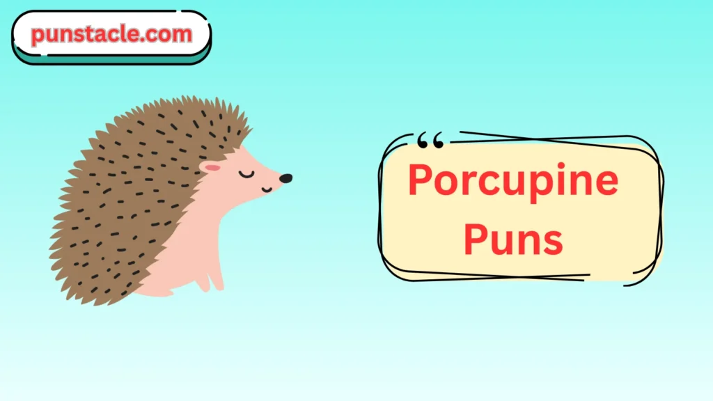 Porcupine Puns for Fast Laughs