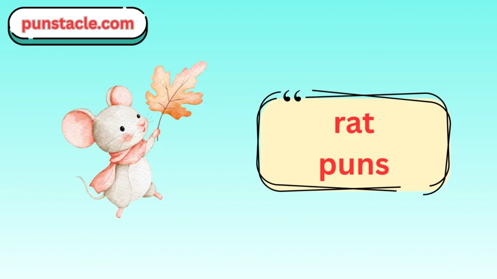 Rat One Liner Jokes