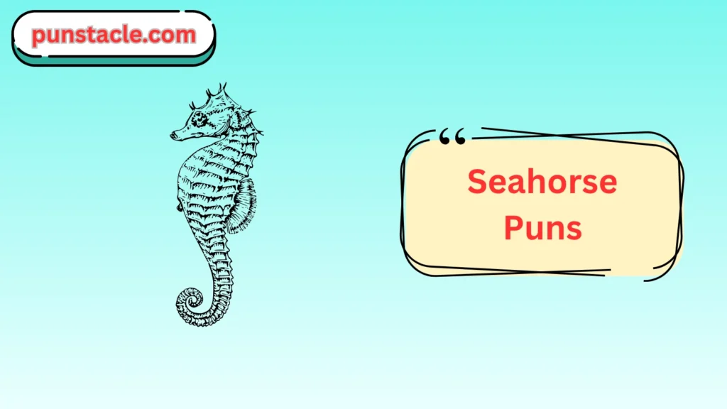 Seahorse Puns for Fast Laughs