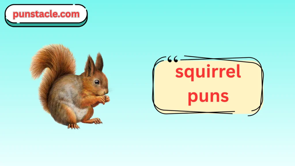 Squirrel Jokes & Wordplays Ever