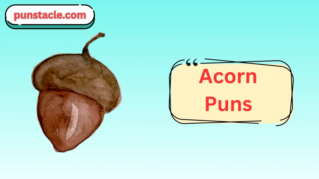 Acorn Jokes & Wordplays Ever