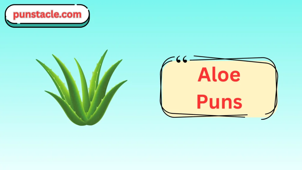 Aloe Jokes & Wordplays Ever