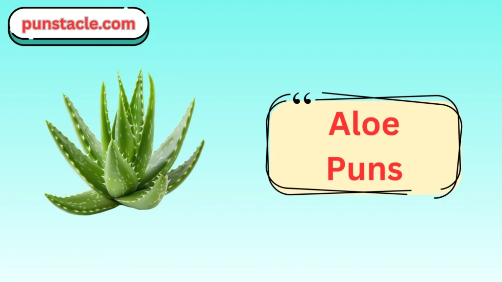 Aloe Puns for Fast Laughs