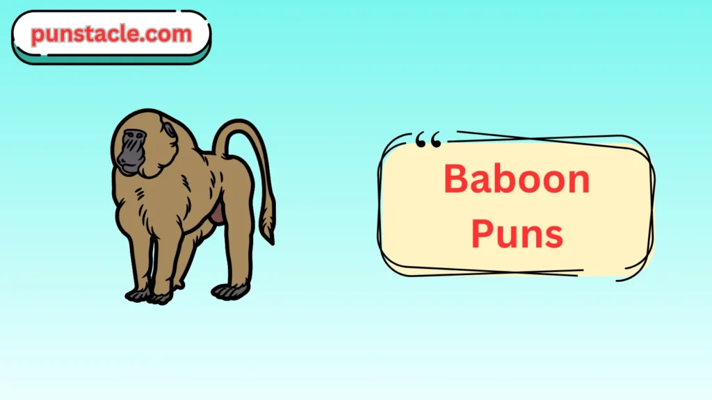 Baboon Puns for Fast Laughs