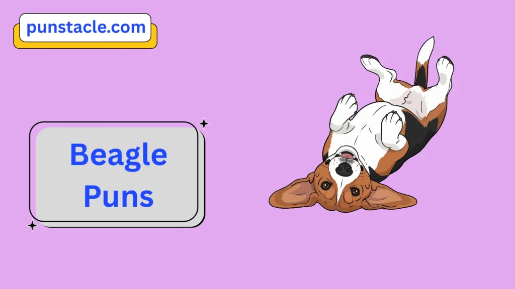 Beagle Puns & Captions