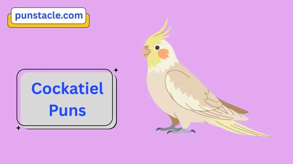 Cockatiel Puns & Captions