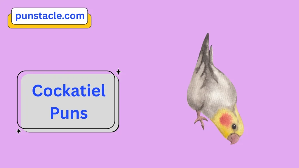 Cockatiel Puns for Fast Laughs