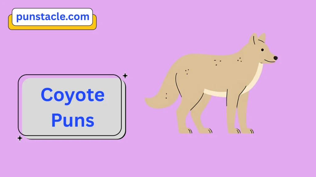 Coyote Jokes & Wordplays Ever