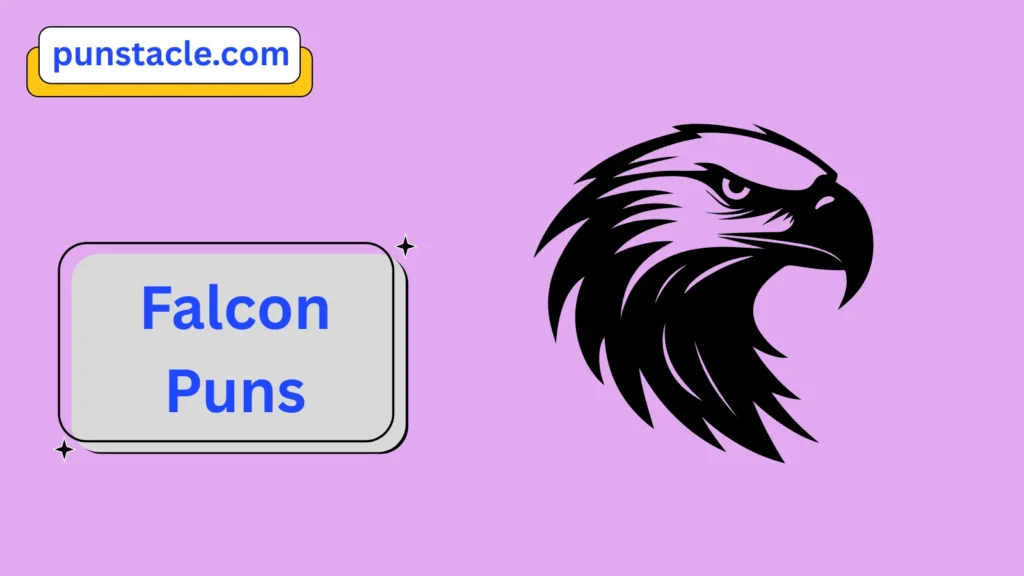 Falcon Jokes & Wordplays Ever