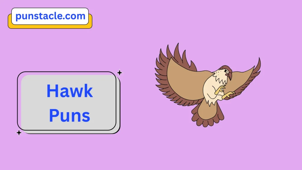 Hawk Jokes & Wordplays Ever