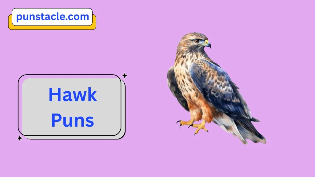 Hawk Puns for Fast Laughs