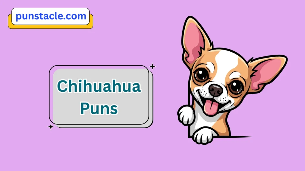 Hilarious Chihuahua Puns