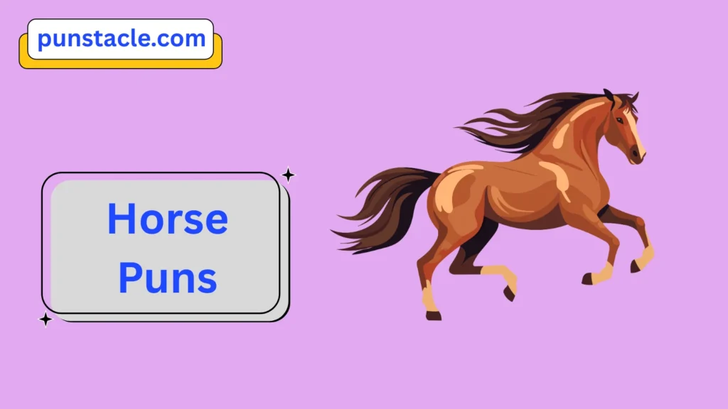 Horse Puns for Fast Laughs