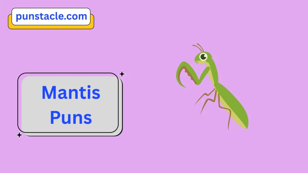 Mantis Jokes & Wordplays Ever