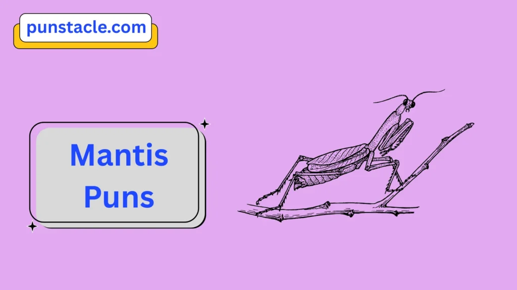 Mantis Puns for Fast Laughs