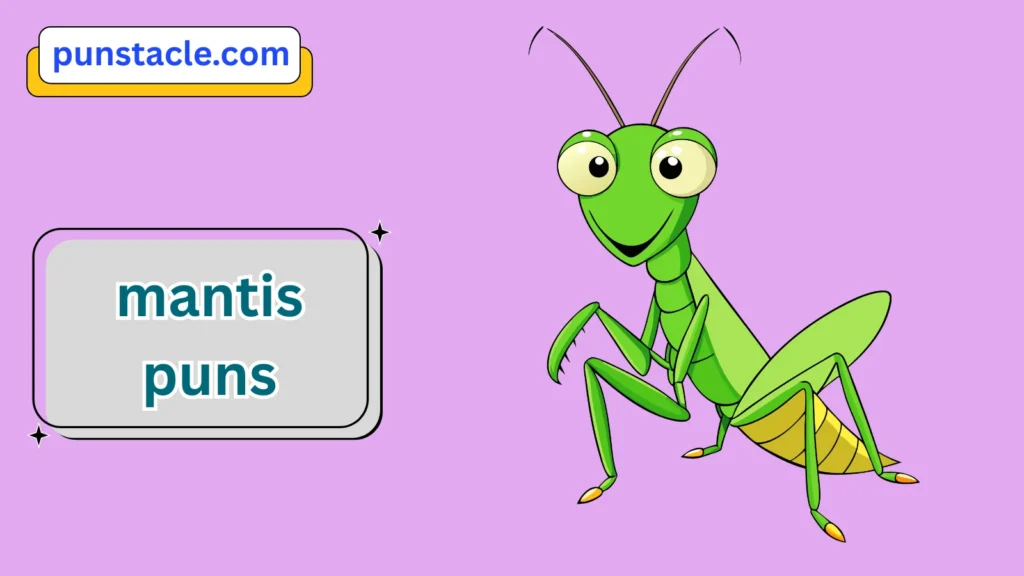 Mantis Puns for Fast Laughs
