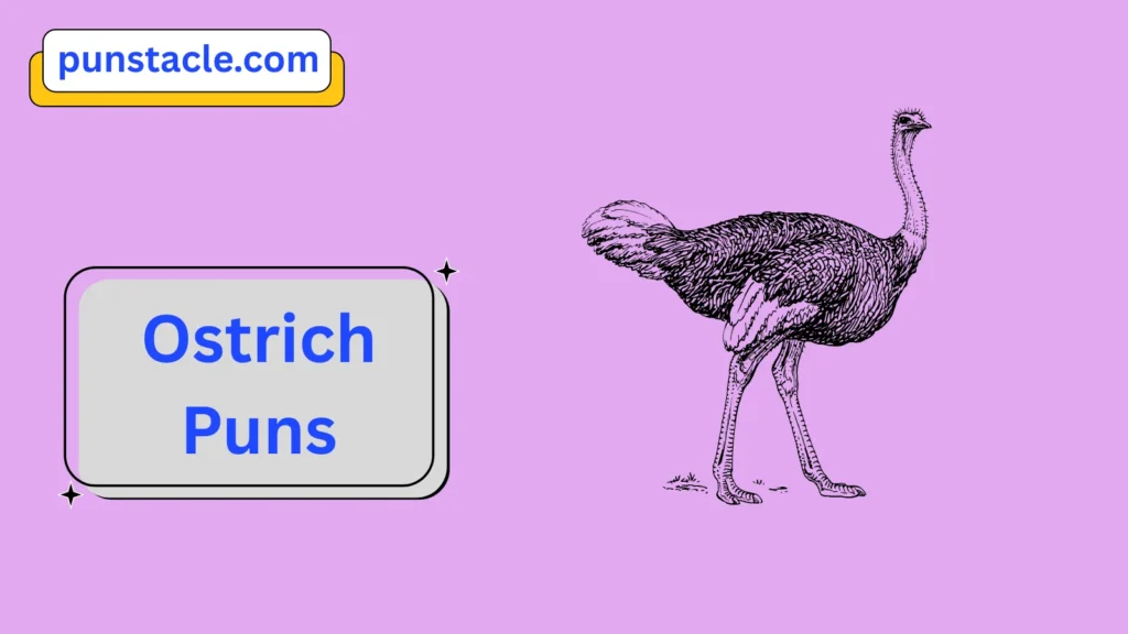 Ostrich Jokes & Wordplays Ever