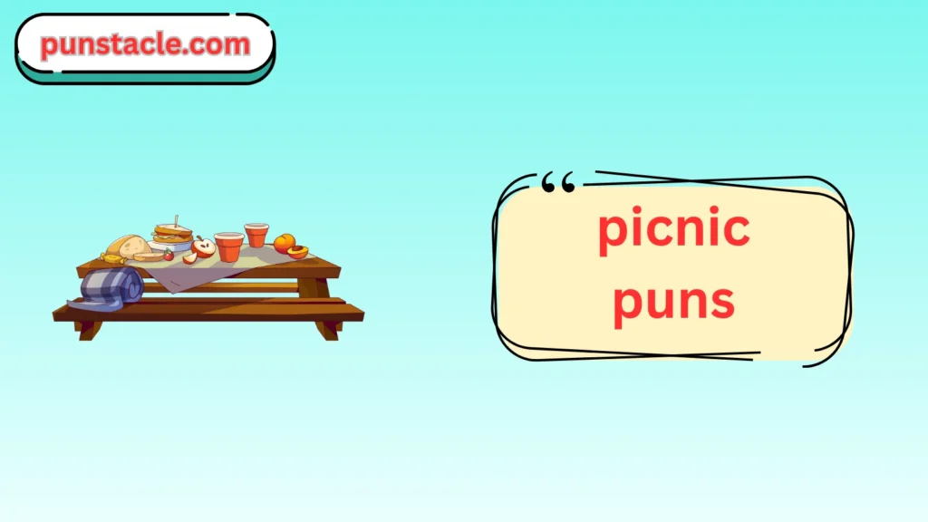 Picnic Jokes & Wordplays Ever