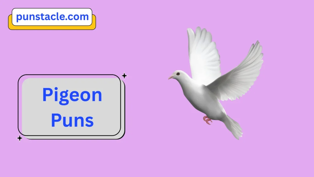 Pigeon Puns & Captions
