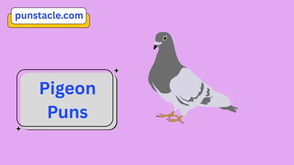 Pigeon Puns for Fast Laughs