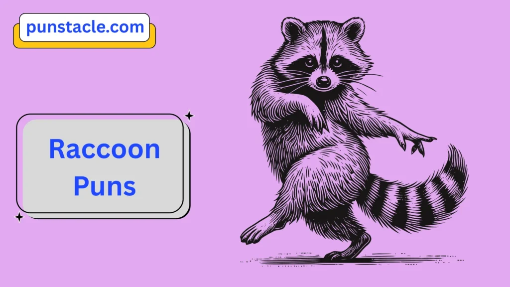 Raccoon Puns & Captions