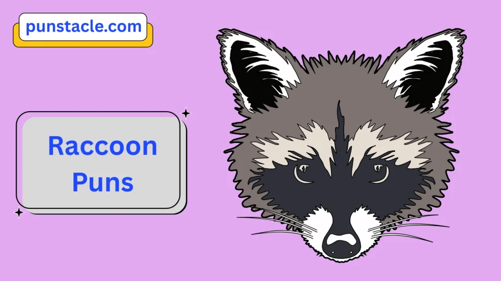 Raccoon Puns for Fast Laughs