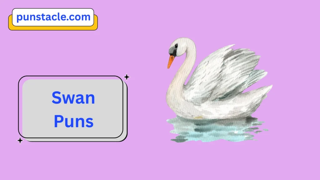 Swan Jokes & Wordplays Eve