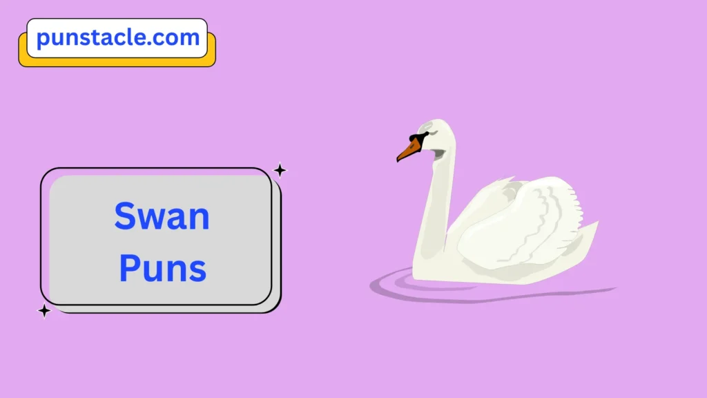 Swan Puns for Fast Laughs