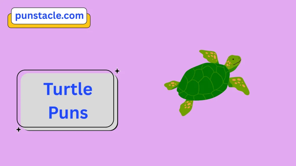 Turtle Jokes & Wordplays Ever