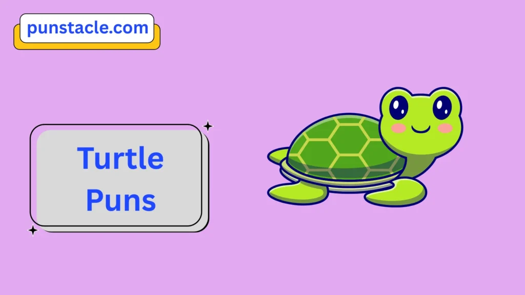 Turtle Puns & Captions