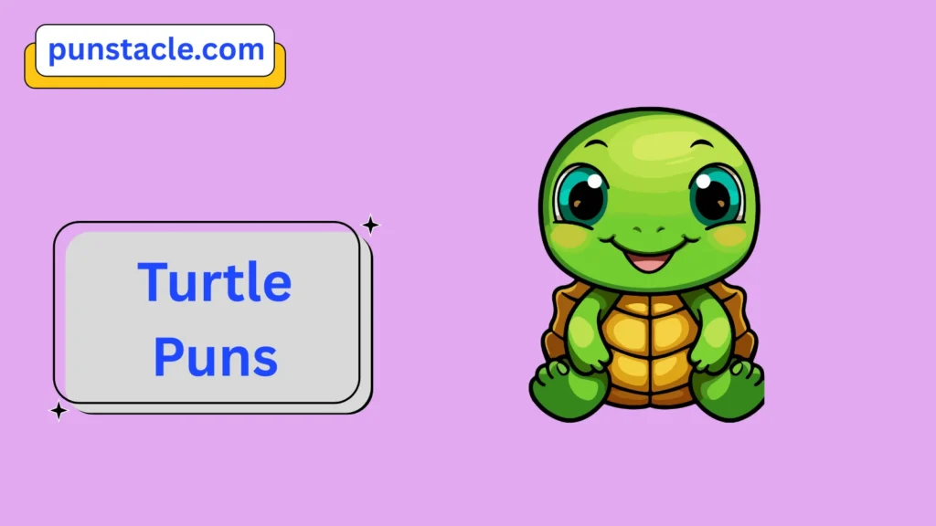Turtle Puns for Fast Laughs