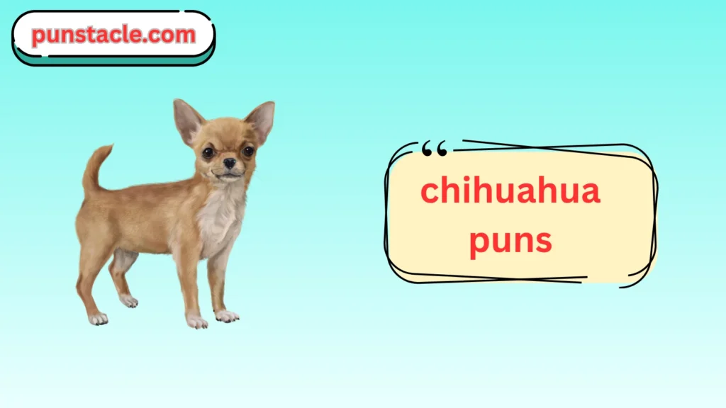 Chihuahua Puns