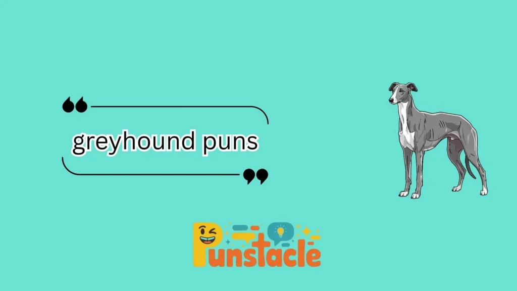 greyhound puns