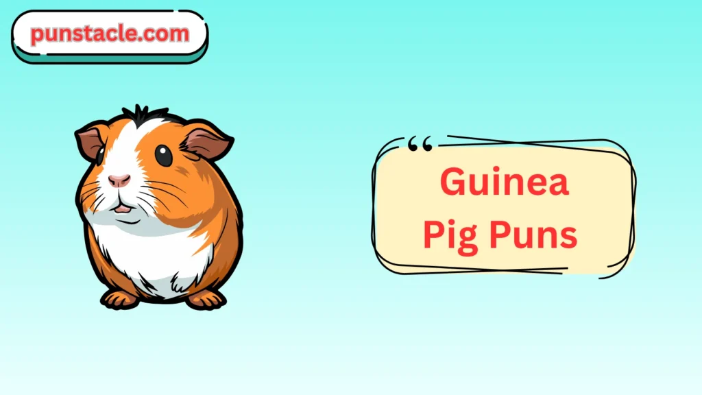 guinea pig puns