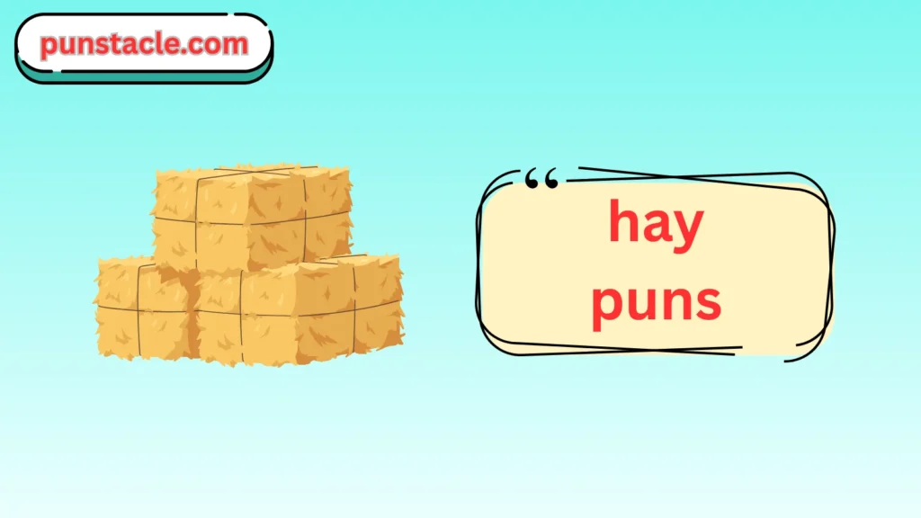 hay puns