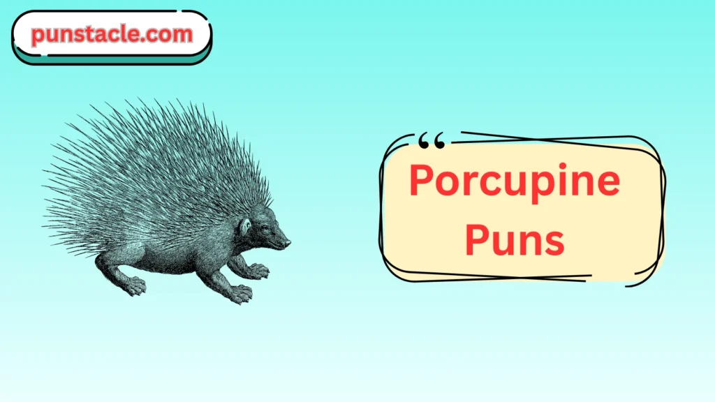Porcupine Puns