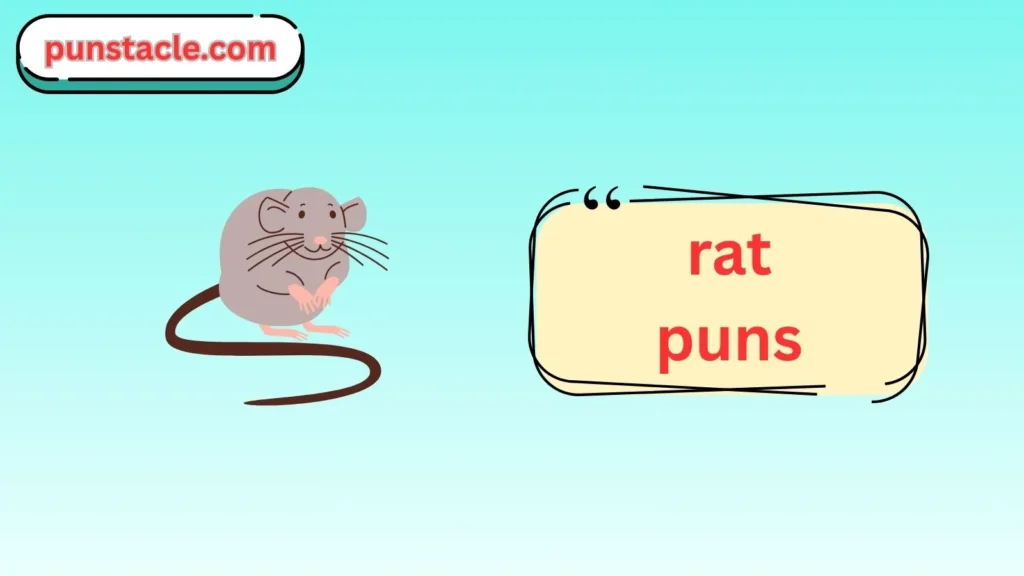 rat puns