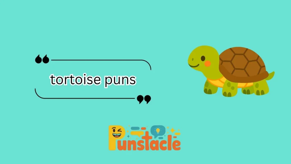 tortoise puns
