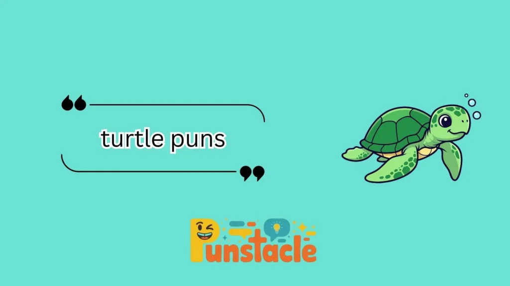 turtle puns