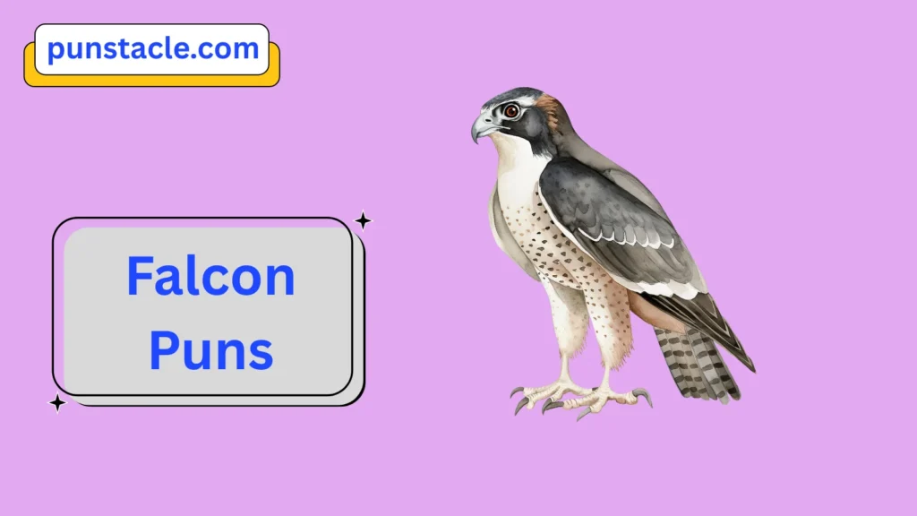 Falcon Puns
